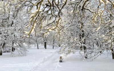 Rakvere mõisapark