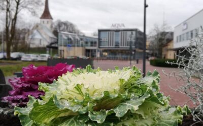 Parkali promenaad