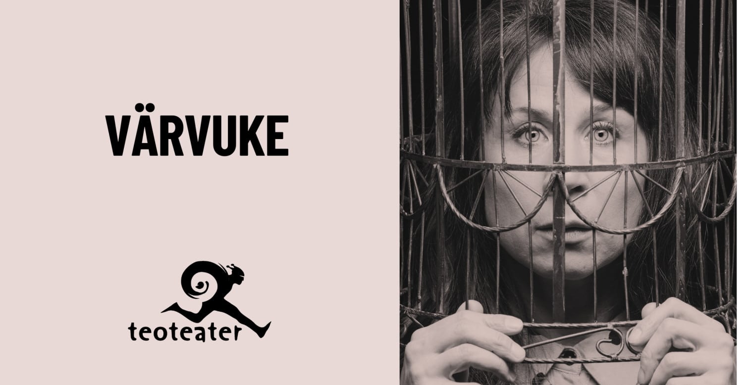 Teoteater: Värvuke Teoteater: Värvuke