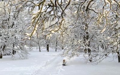 Rakvere mõisapark